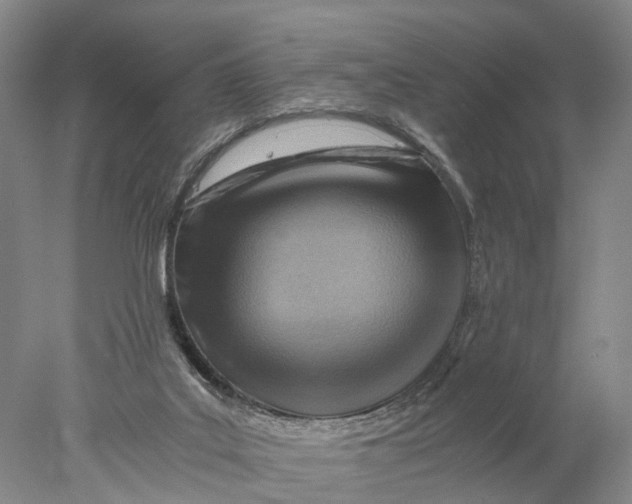 X0000078000019200611171832