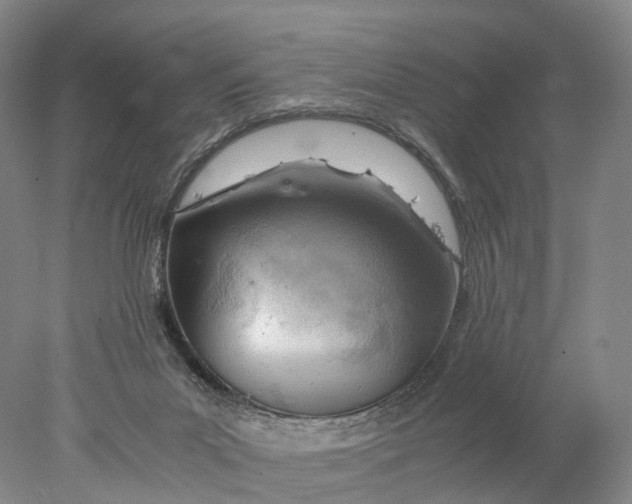 X0000078000023200611171832