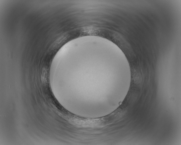 X0000078000036200611171832