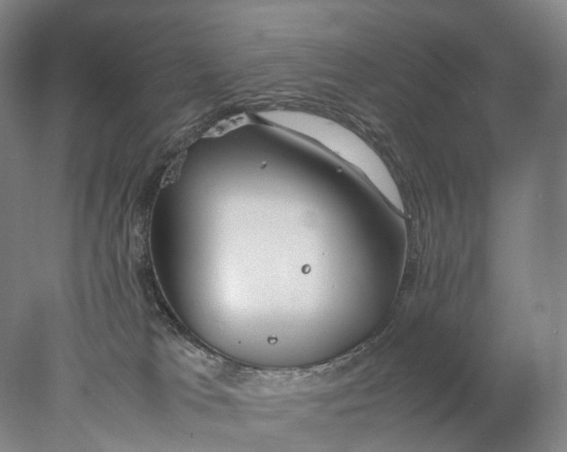 X0000078000037200611171832
