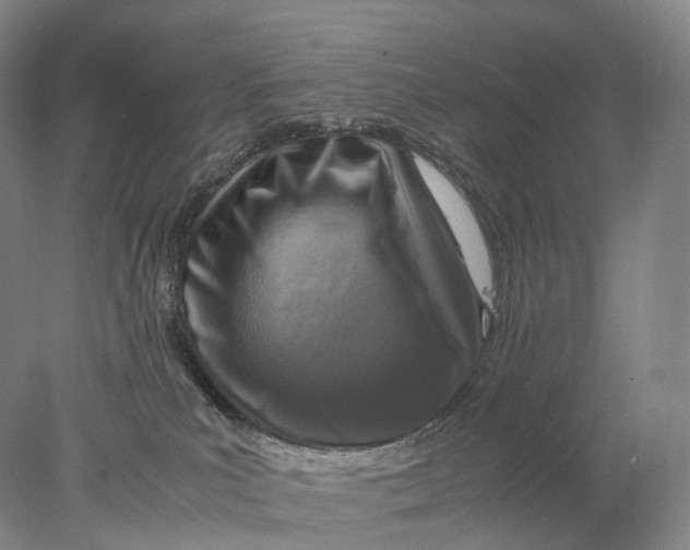 X0000078000039200611171832