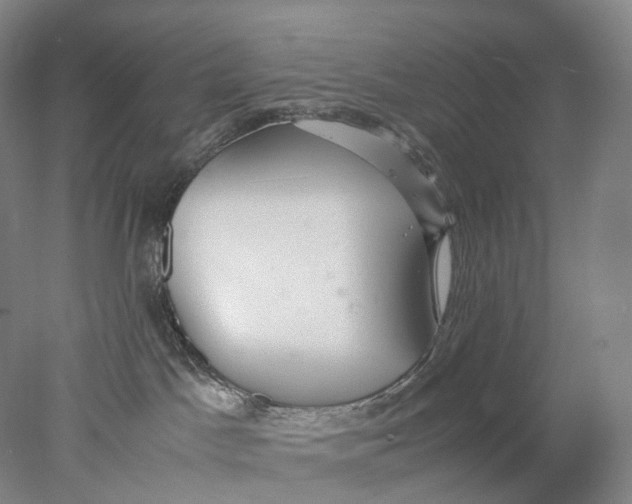X0000078000045200611171832