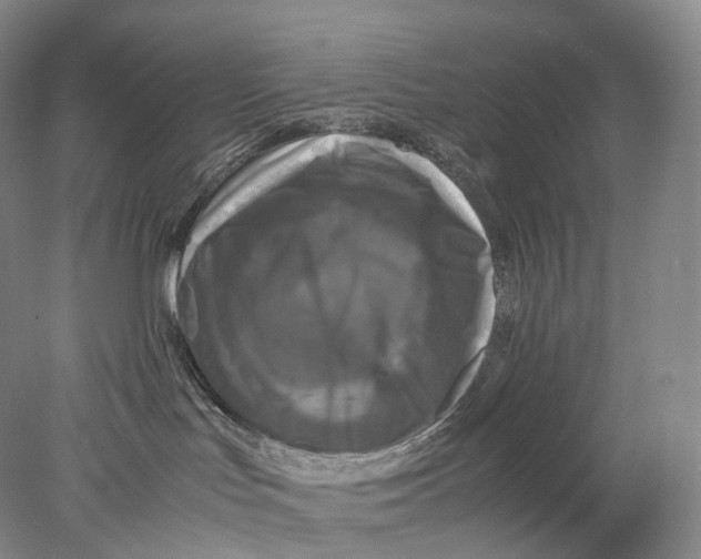 X0000078000047200611171832