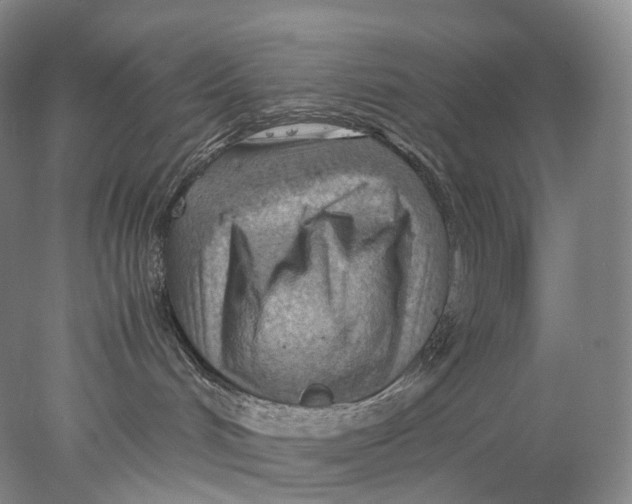 X0000078000048200611171832