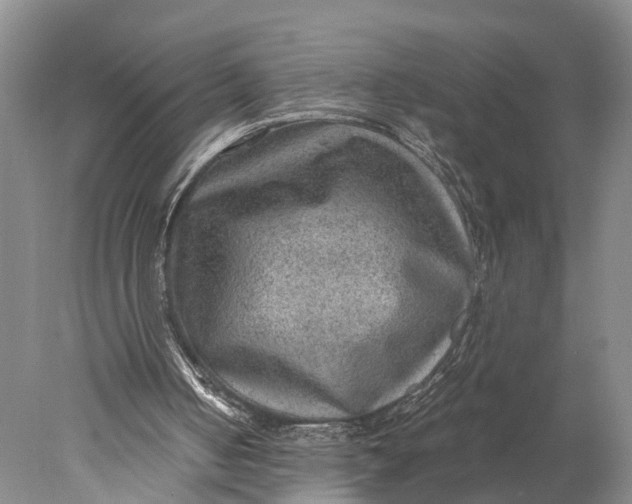 X0000078000050200611171831