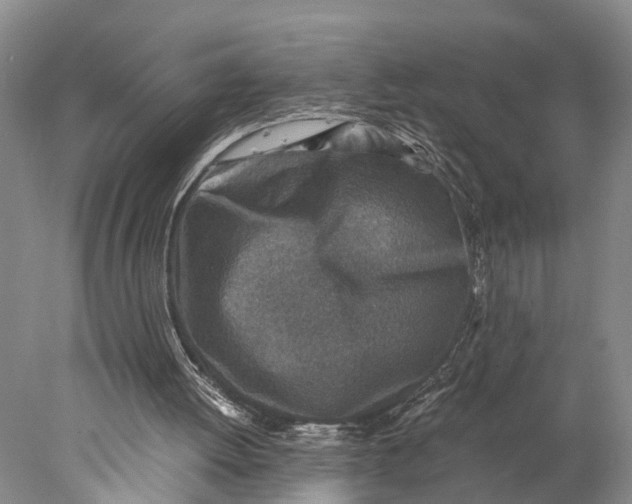 X0000078000052200611171831