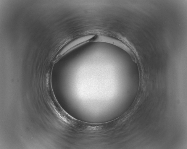 X0000078000057200611171831