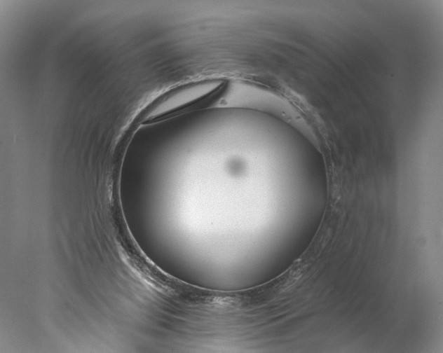 X0000078000060200611171831