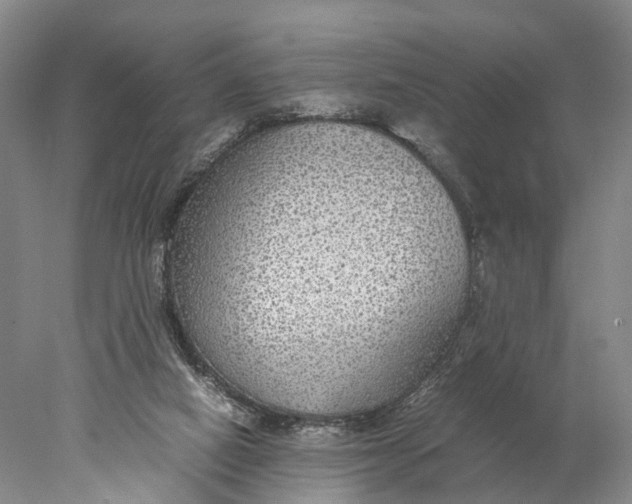 X0000078000066200611171831