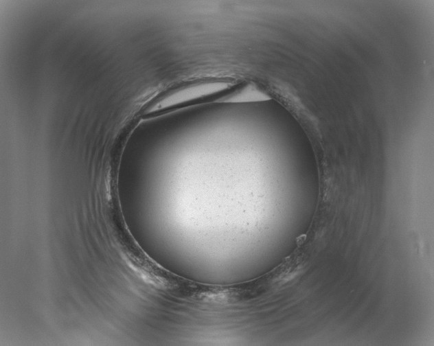 X0000078000068200611171831