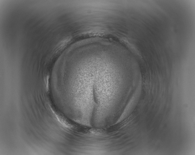 X0000078000070200611171831
