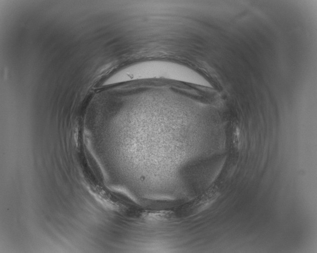 X0000078000072200611171831