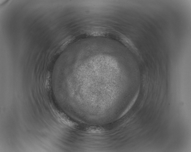 X0000078000073200611171831
