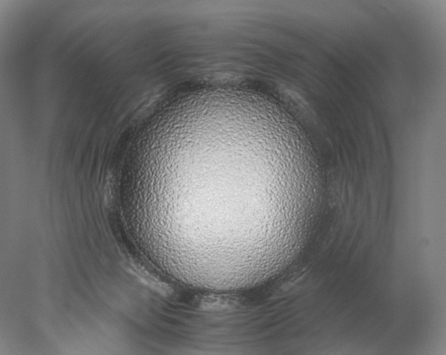 X0000078000077200611171831