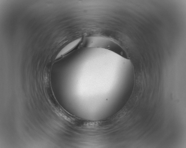 X0000078000084200611171831