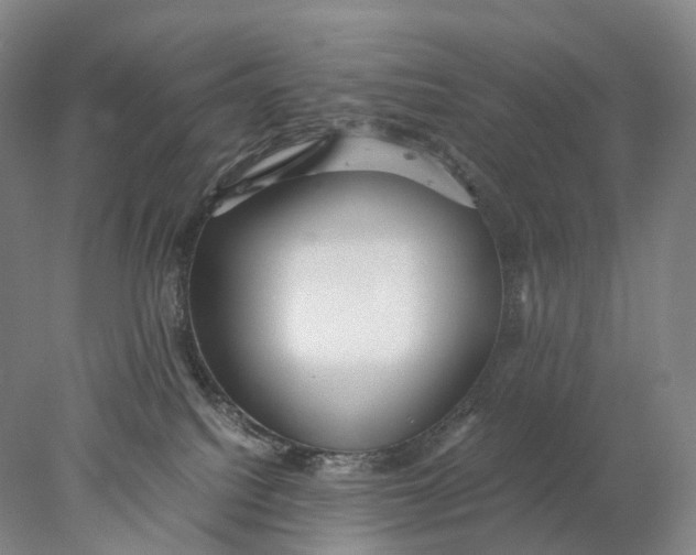 X0000078000088200611171831