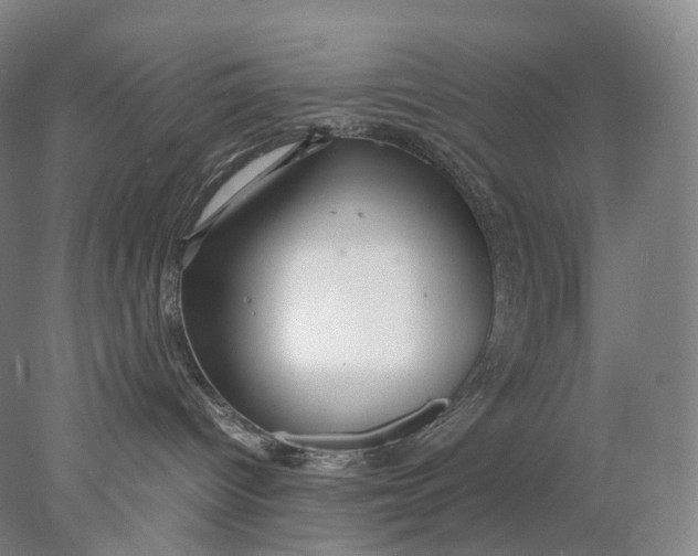 X0000078000096200611171832