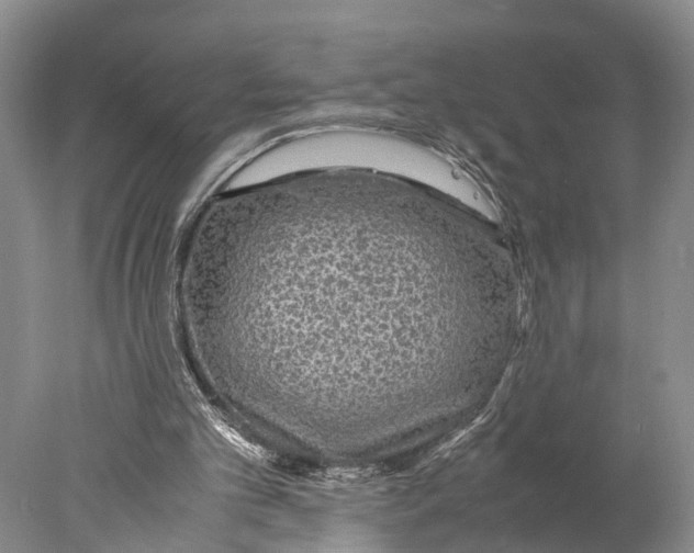 X0000078000101200611171831