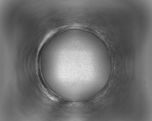 X0000078000102200611171831