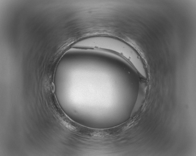 X0000078000105200611171831