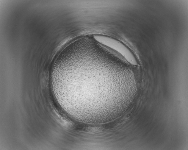 X0000078000107200611171831