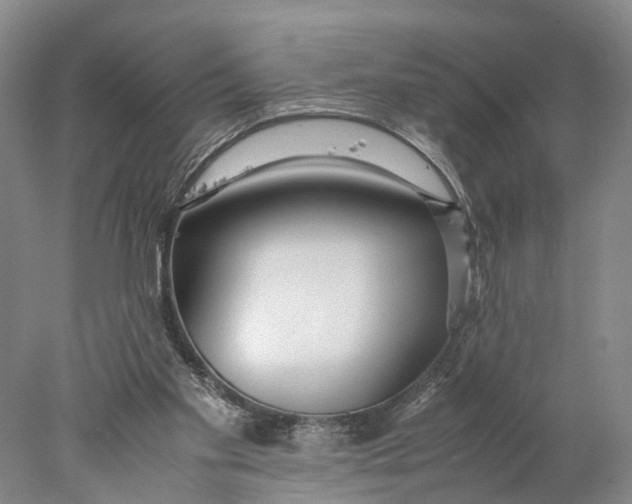 X0000078000109200611171831