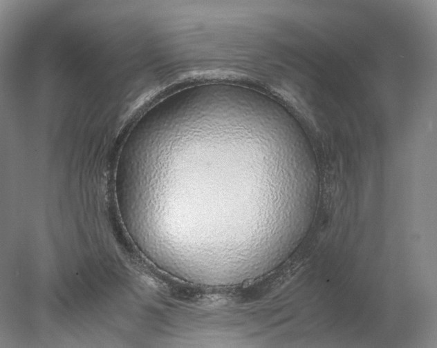 X0000078000111200611171831