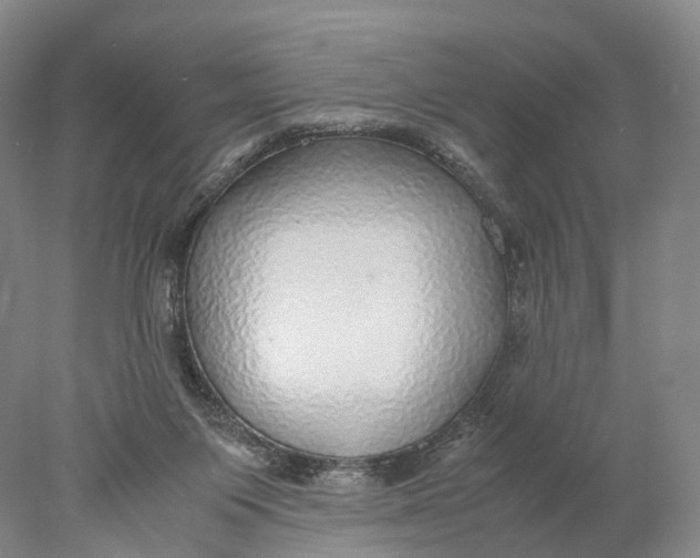 X0000078000119200611171830