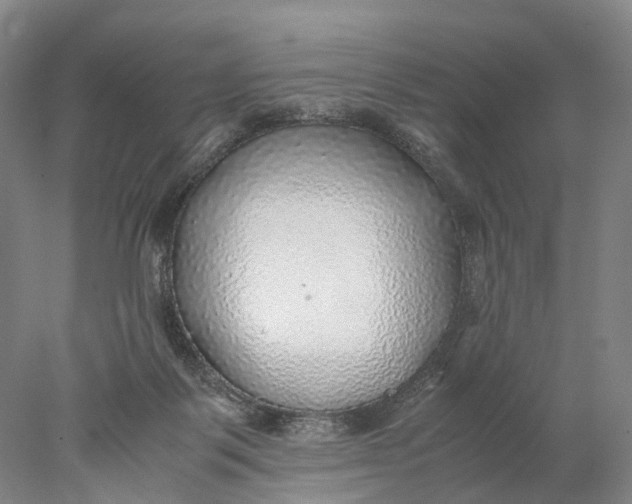 X0000078000123200611171830