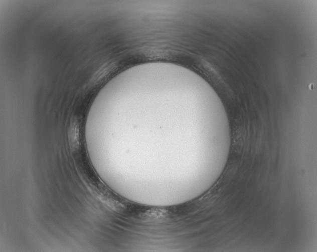 X0000078000124200611171830