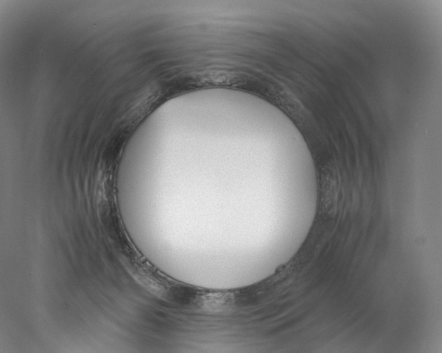 X0000078000126200611171830