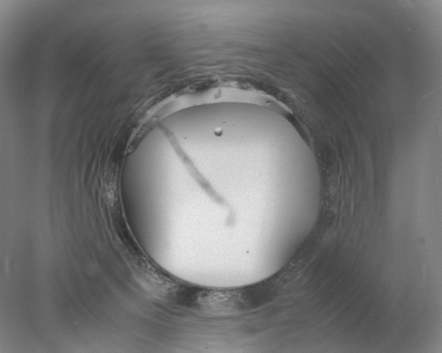 X0000078000129200611171830