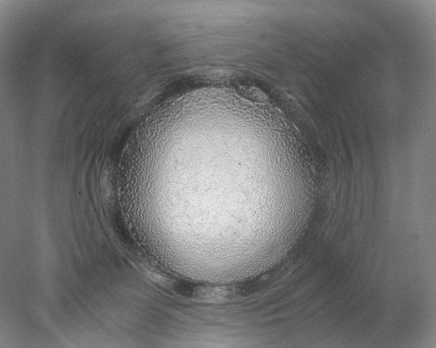 X0000078000131200611171830