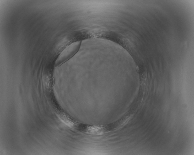 X0000078000139200611171830