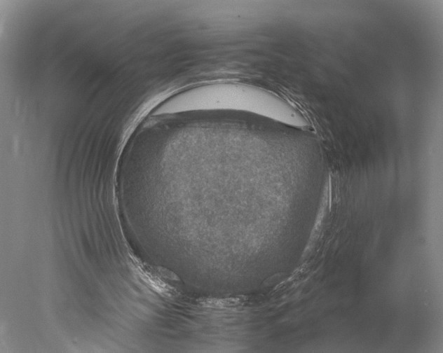 X0000078000147200611171829