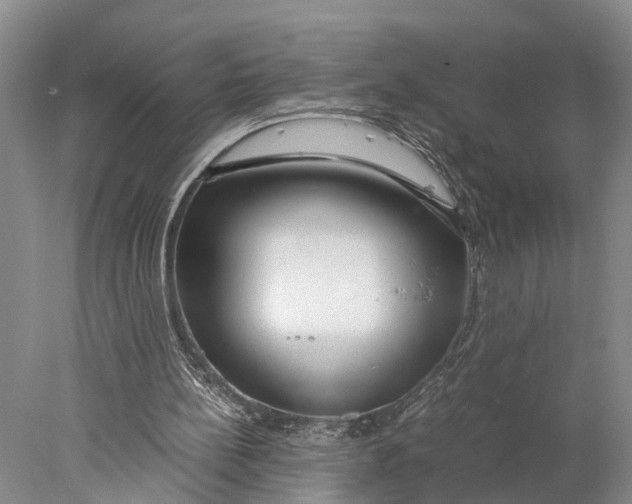 X0000078000148200611171829