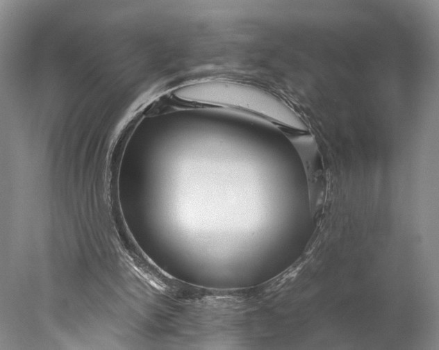 X0000078000150200611171829