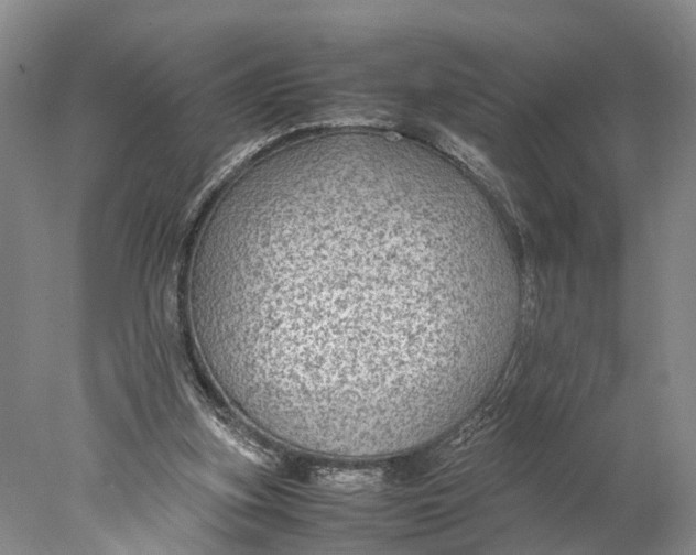 X0000078000155200611171829