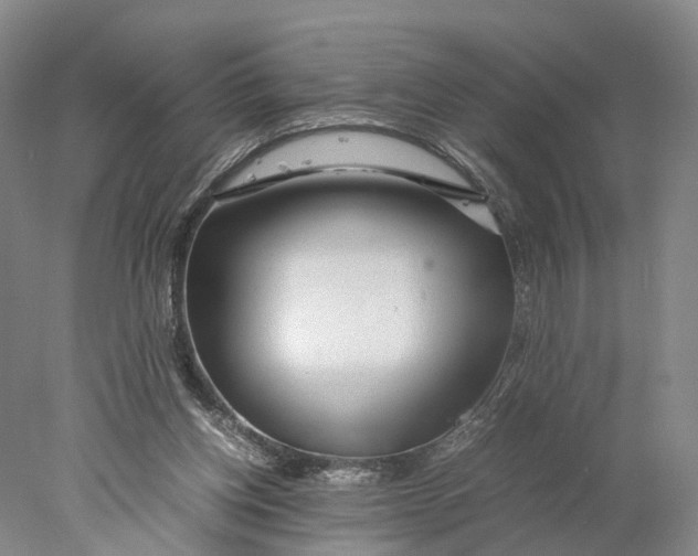 X0000078000158200611171829