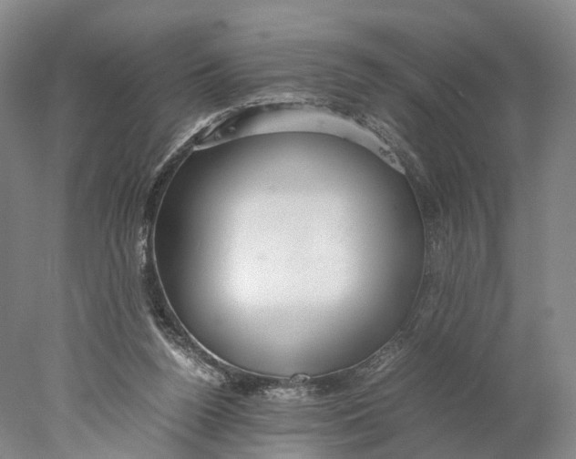 X0000078000160200611171829
