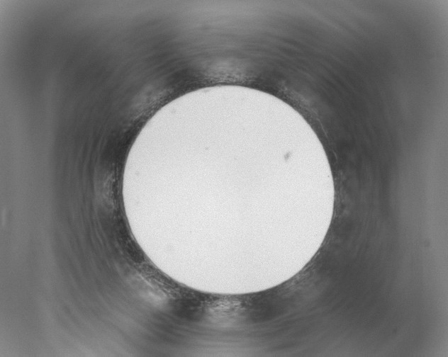 X0000078000162200611171829