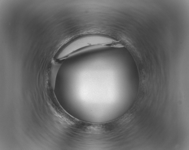 X0000078000164200611171829
