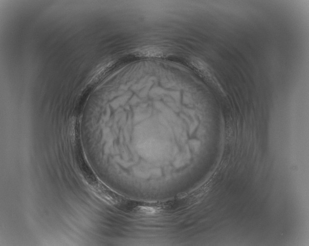X0000078000167200611171830