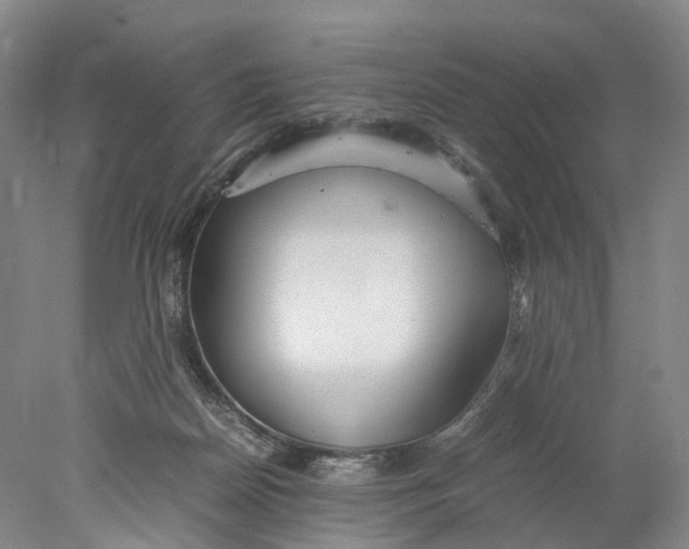 X0000078000170200611171830
