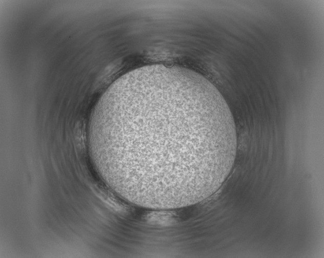 X0000078000179200611171830