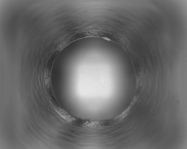 X0000078000186200611171830