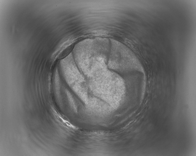 X0000078000194200611171829
