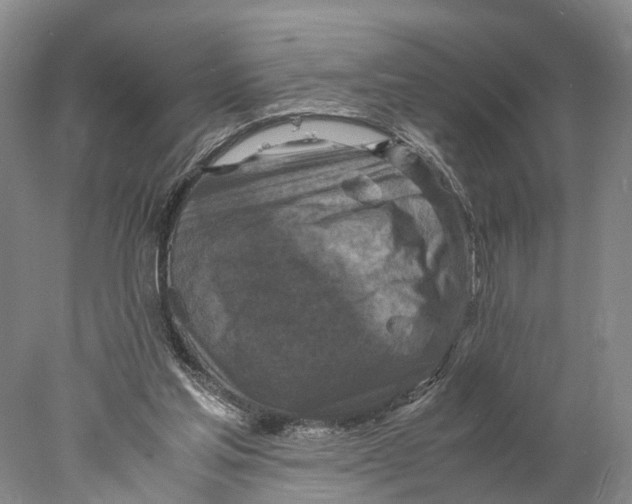 X0000078000205200611171829