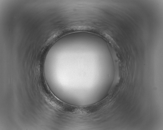 X0000078000207200611171829