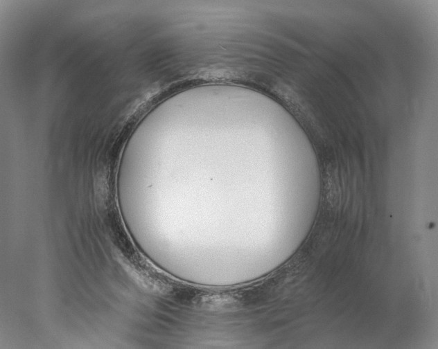 X0000078000208200611171829